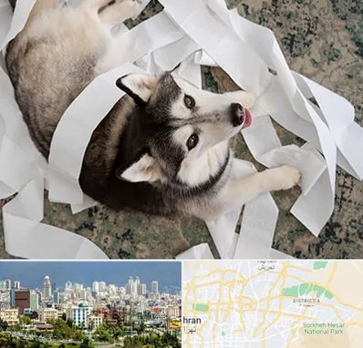 خرید ضایعات پت در شرق تهران 