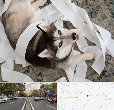 خرید ضایعات پت در دولت 