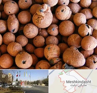 پوکه صنعتی در مشکین دشت