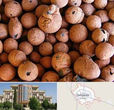 پوکه صنعتی در دهدشت