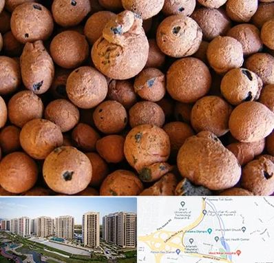 پوکه صنعتی در المپیک 