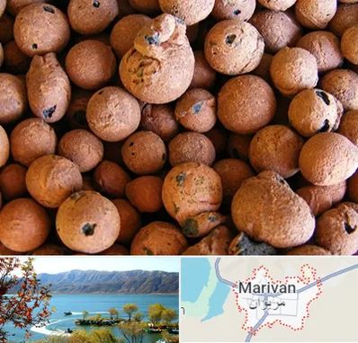 پوکه صنعتی در مریوان
