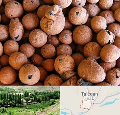 پوکه صنعتی در طالقان