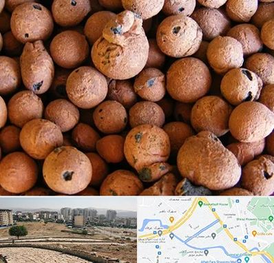 پوکه صنعتی در کوی وحدت شیراز 