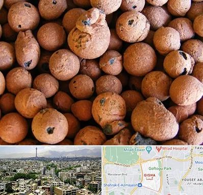 پوکه صنعتی در گیشا 