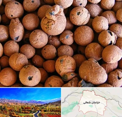 پوکه صنعتی در خراسان شمالی