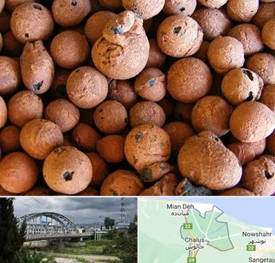 پوکه صنعتی در چالوس