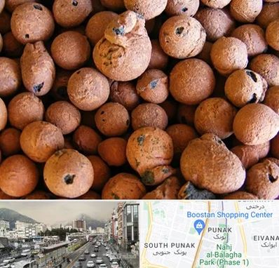 پوکه صنعتی در پونک 