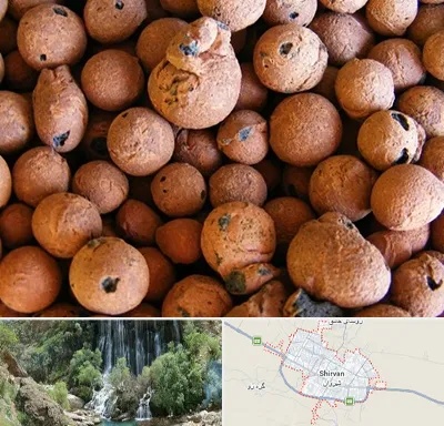پوکه صنعتی در شیروان