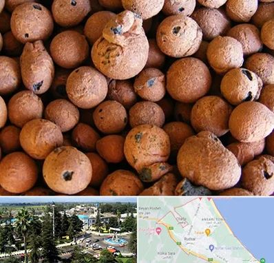 پوکه صنعتی در رودسر