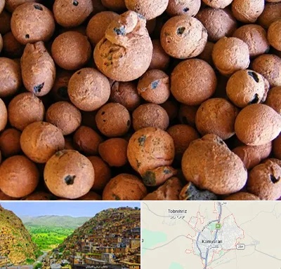 پوکه صنعتی در کامیاران