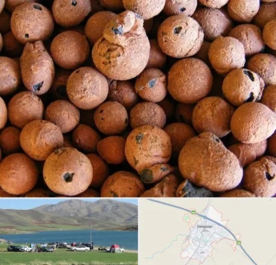 پوکه صنعتی در دهگلان