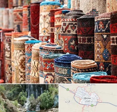 فروشگاه فرش در شیروان