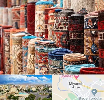 فروشگاه فرش در میانه