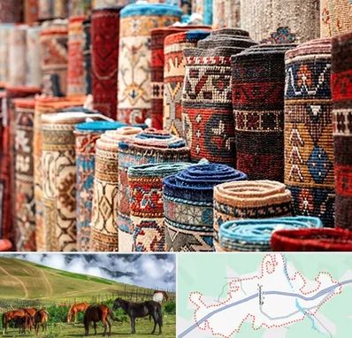 فروشگاه فرش در تالش