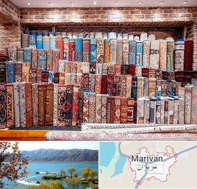 فرش فروشی در مریوان