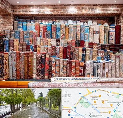 فرش فروشی در خیابان ارم شیراز 
