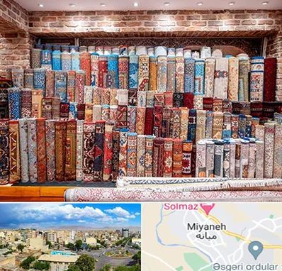 فرش فروشی در میانه