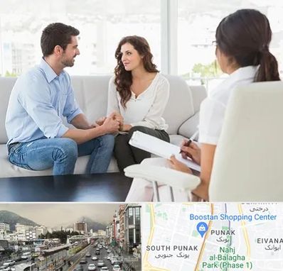 زوج درمانی در پونک