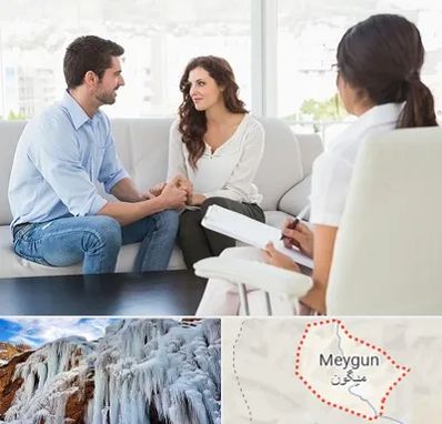 زوج درمانی در میگون