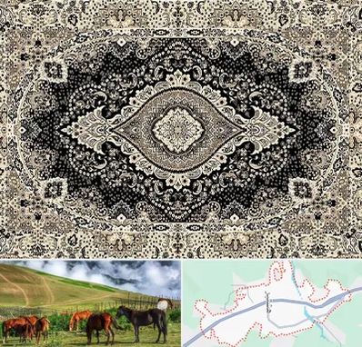 فروش فرش ماشینی در تالش