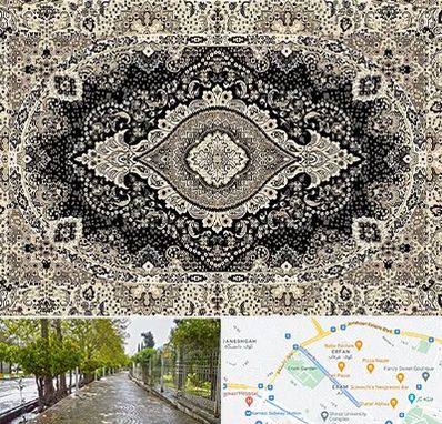 فروش فرش ماشینی در خیابان ارم شیراز 