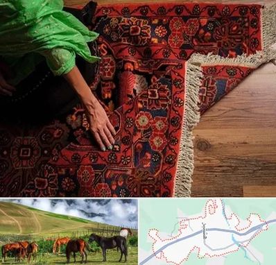 فروش فرش دستباف در تالش