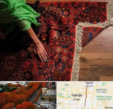 فروش فرش دستباف در ولیعصر 