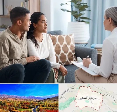 زوج درمانگر در خراسان شمالی