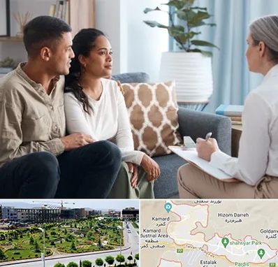 زوج درمانگر در پردیس