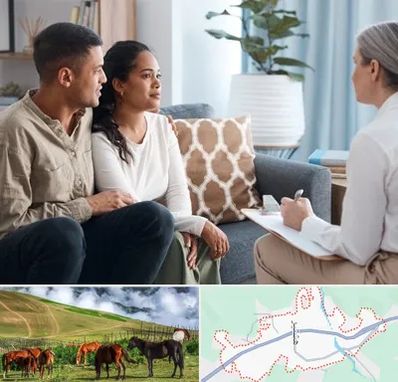 زوج درمانگر در تالش