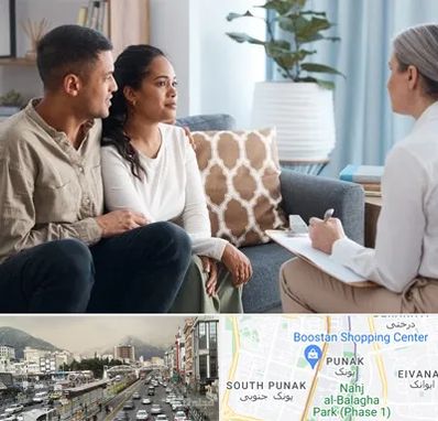 زوج درمانگر در پونک