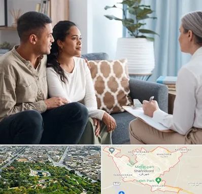 زوج درمانگر در شهرکرد