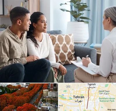 زوج درمانگر در ولیعصر