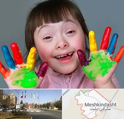 مرکز اوتیسم در مشکین دشت