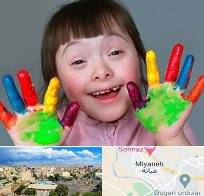 مرکز اوتیسم در میانه