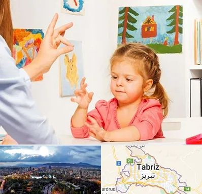 کاردرمانگر در تبریز