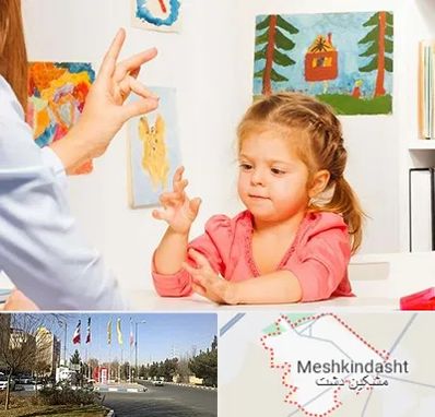 کاردرمانگر در مشکین دشت