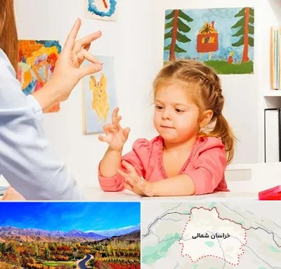 کاردرمانگر در خراسان شمالی