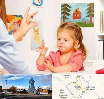 کاردرمانگر در تایباد