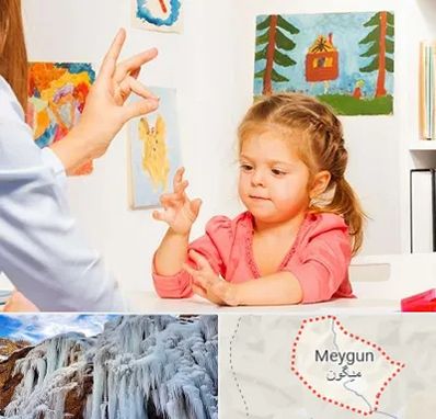 کاردرمانگر در میگون