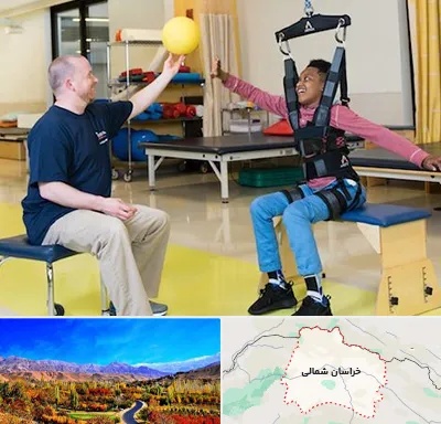 کاردرمانی جسمی حرکتی در خراسان شمالی
