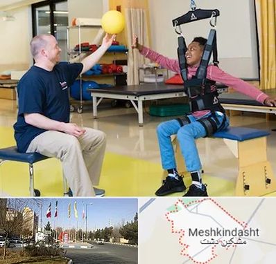 کاردرمانی جسمی حرکتی در مشکین دشت
