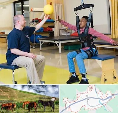 کاردرمانی جسمی حرکتی در تالش