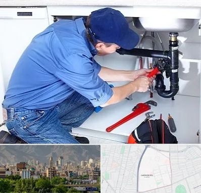 لوله کش در جمشیدیه