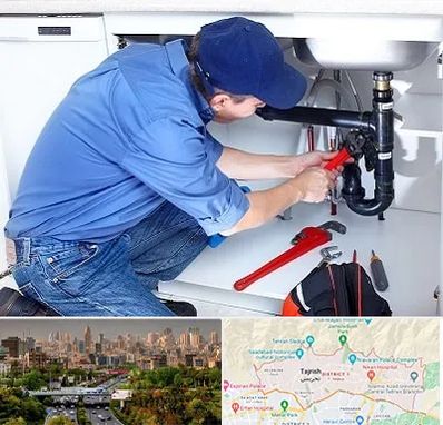 لوله کش در منطقه 1 تهران