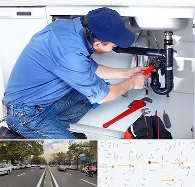 لوله کش در دولت