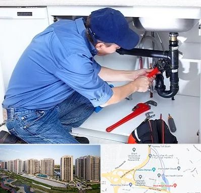 لوله کش در المپیک