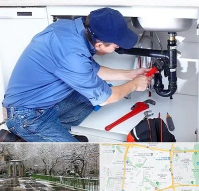 لوله کش در باغ فیض