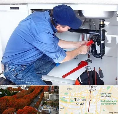 لوله کش در ولیعصر